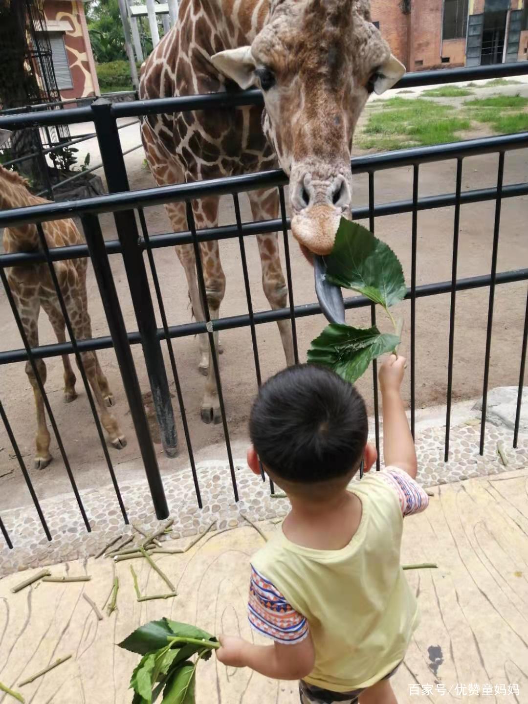 汕尾亲子游记,汕尾旅行攻略三天亲子游