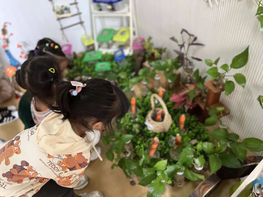生态环创幼儿园自然角,幼儿园环创自然角实验
