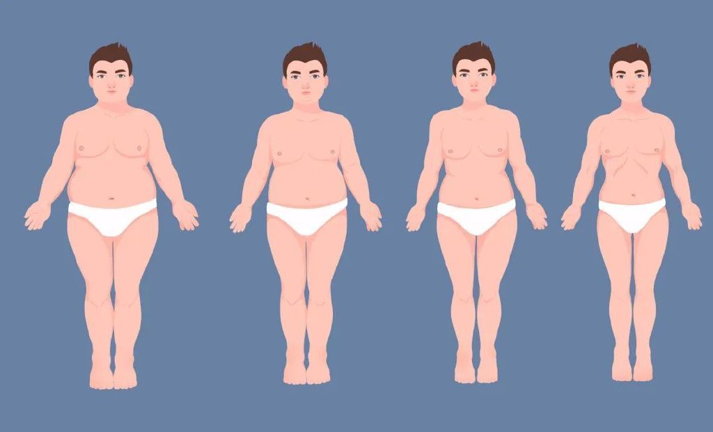 营养不良很瘦的人怎么增肥,胖子减脂如何控制饮食