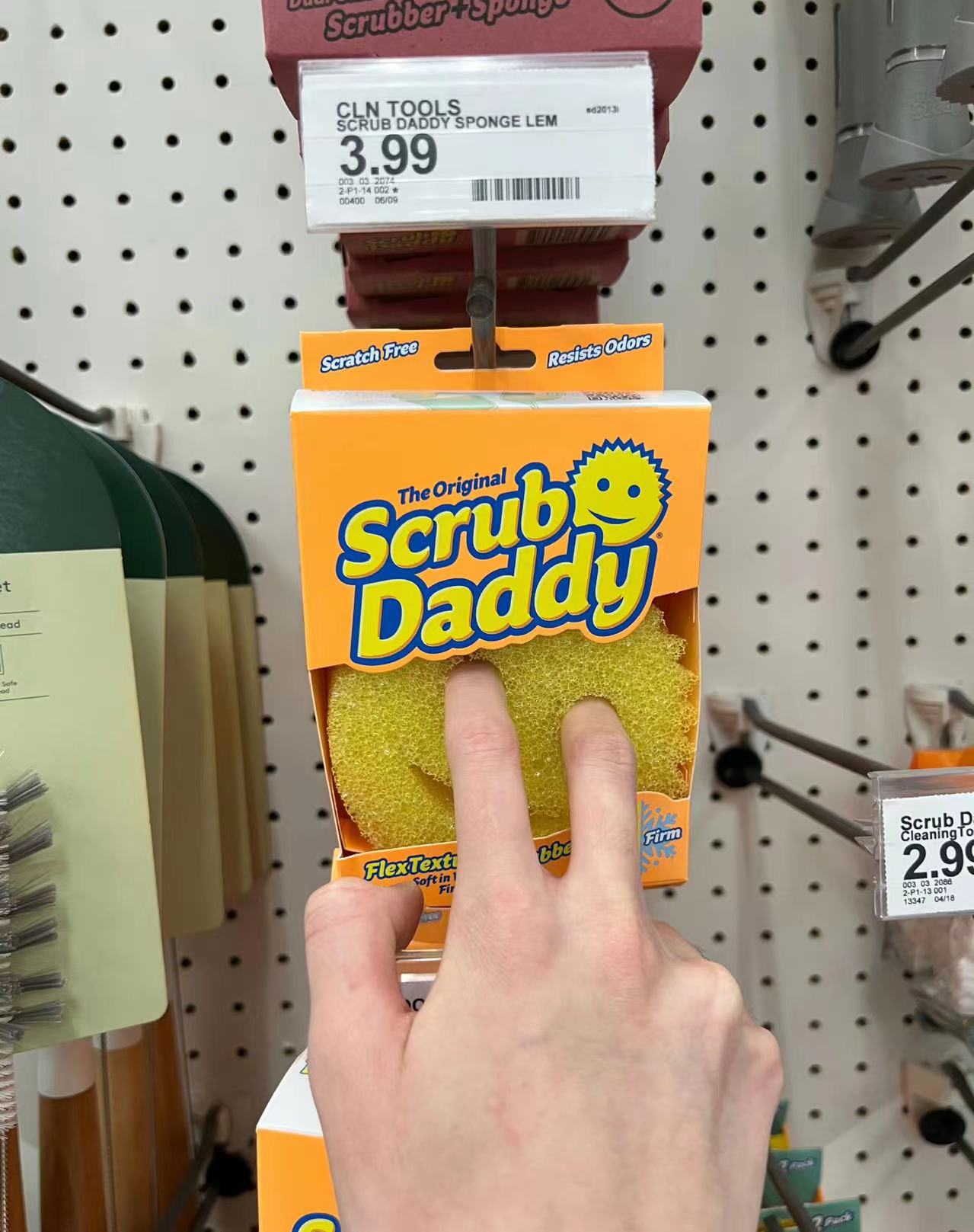 张智霖儿子最新照片,张智霖袁咏仪儿子是混血吗