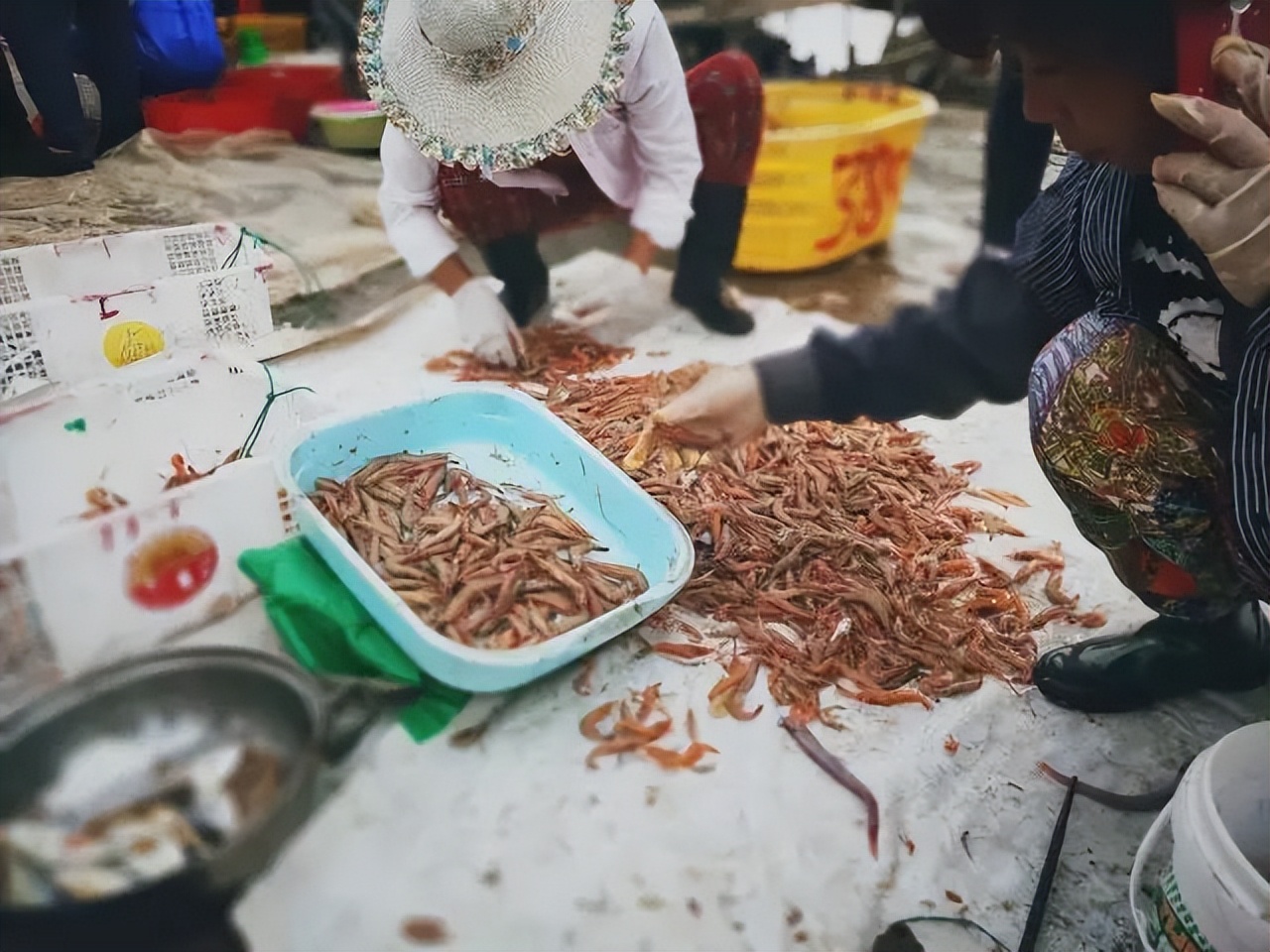 洞头海山民宿,温州洞头岛海景民宿