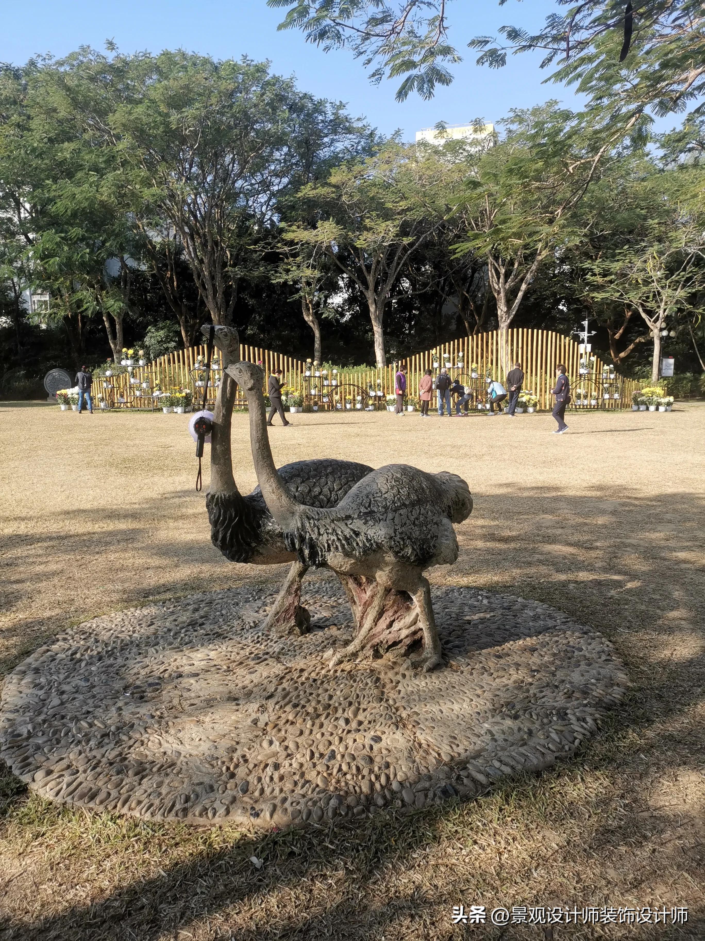 深圳市东湖公园广场舞,深圳市东湖公园收费标准