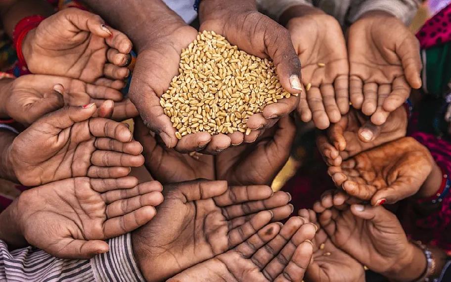 全球粮食危机最新信息需要屯粮吗,近期全球重大突发事件