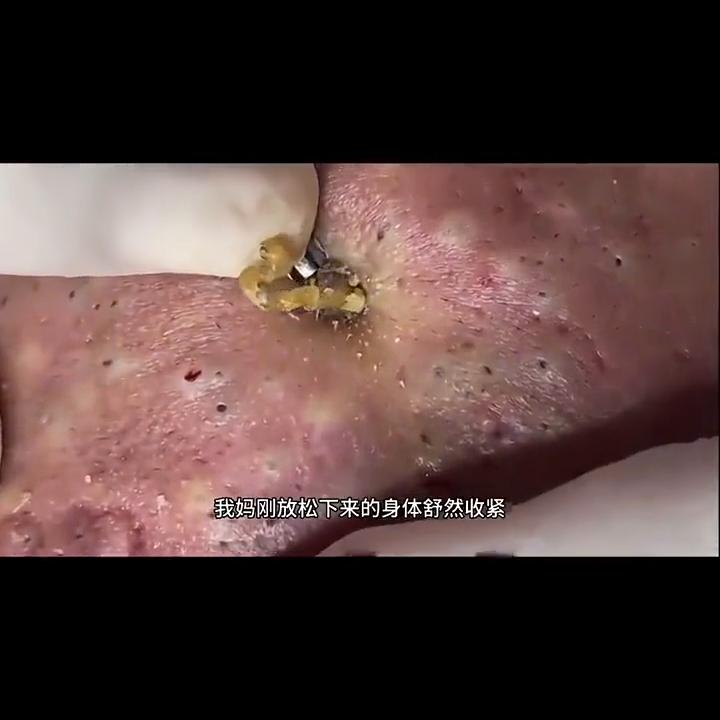 日常系美剧小说,免费看小说的日常