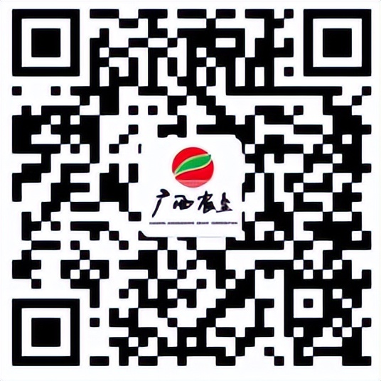 来来来，八大电商平台等你来