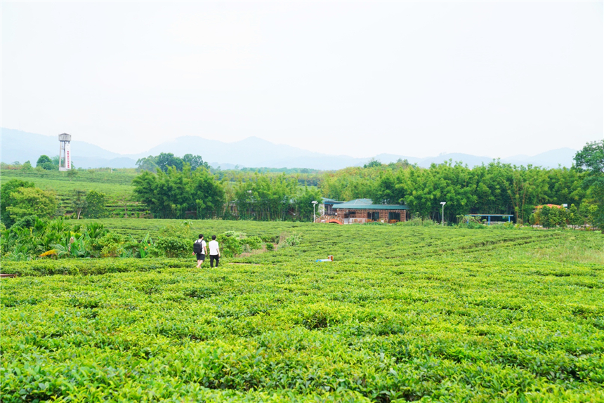 海南东线自驾乡村游攻略,海南原始村落自驾游