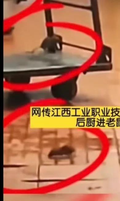 江西工职院谈鸭脖事件,江西高校鸭脖事件出结果没