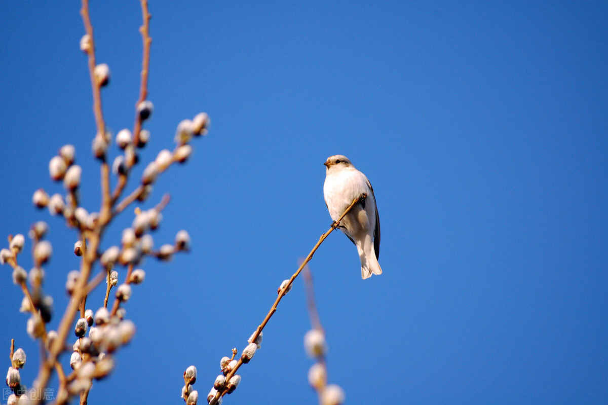 闷恋一一小说连载67学校支农盘河江畔麦收