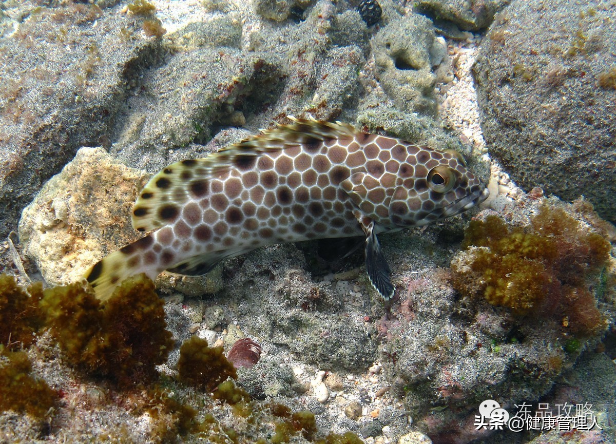 美容护肤食疗方案,美容护肤养生介绍