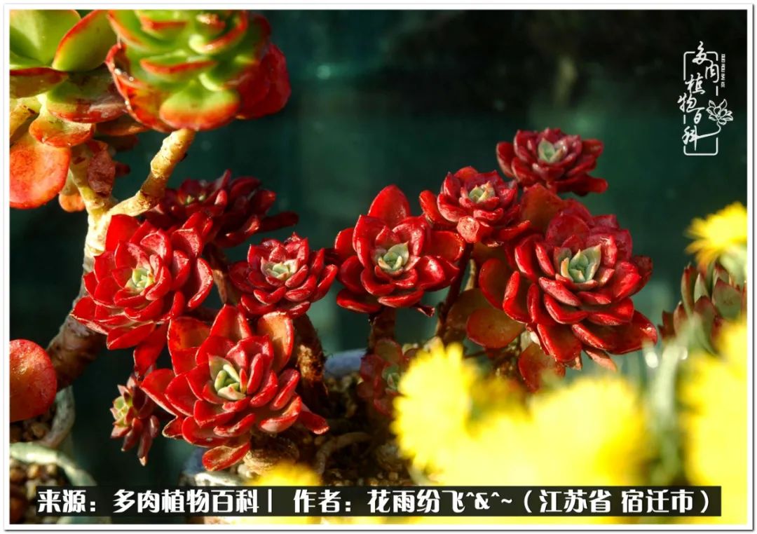 快乐的童年时光视频,回味快乐的童年美好的时光