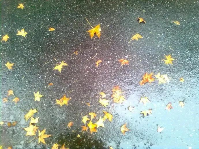 中元节天气农谚,中元节下雨好还是晴天好