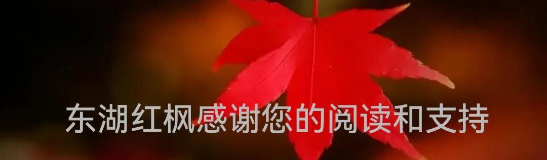 鲁智深与林冲,鲁智深与武松