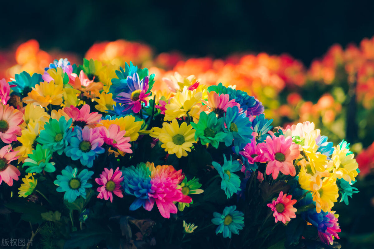 艺术中的色彩心理学：色彩如何影响情绪