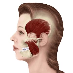 发腮显老,比变老更可怕的是体态崩了