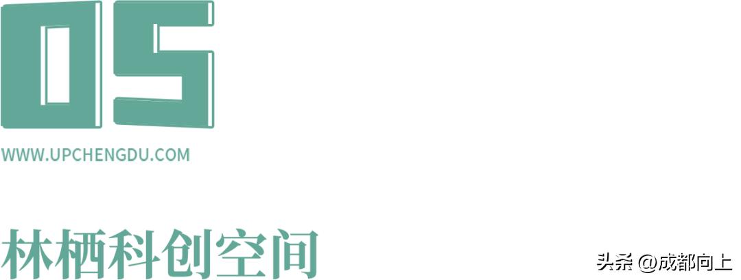 三岔镇东部新区,三岔属于东部新城还是东部新区
