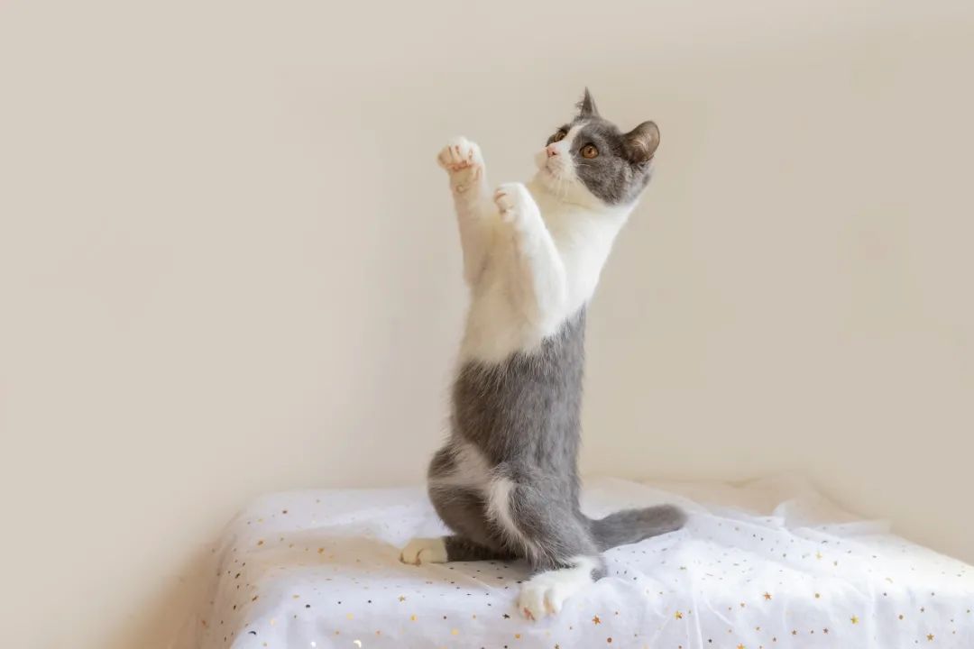 故事笑话幽默分享,晨会分享笑话合集