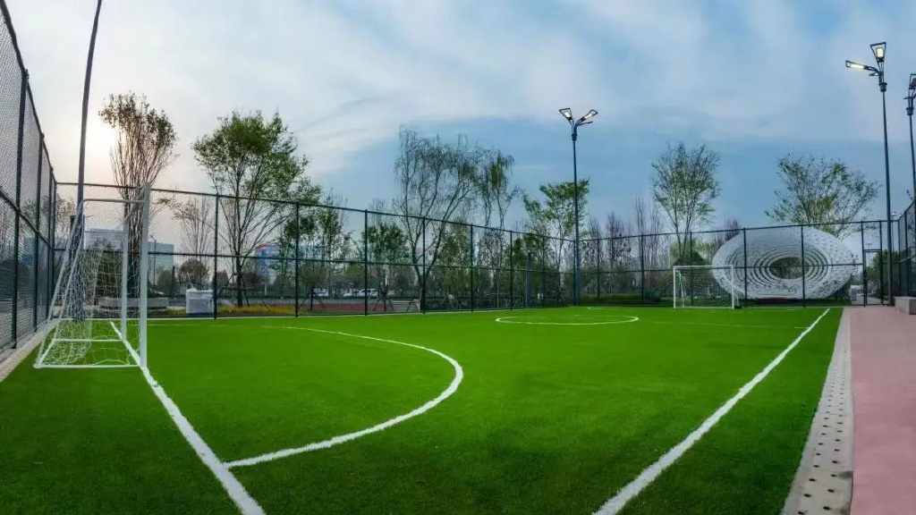 西安周边绿色森林在哪,西安免费森林公园最好玩的地方