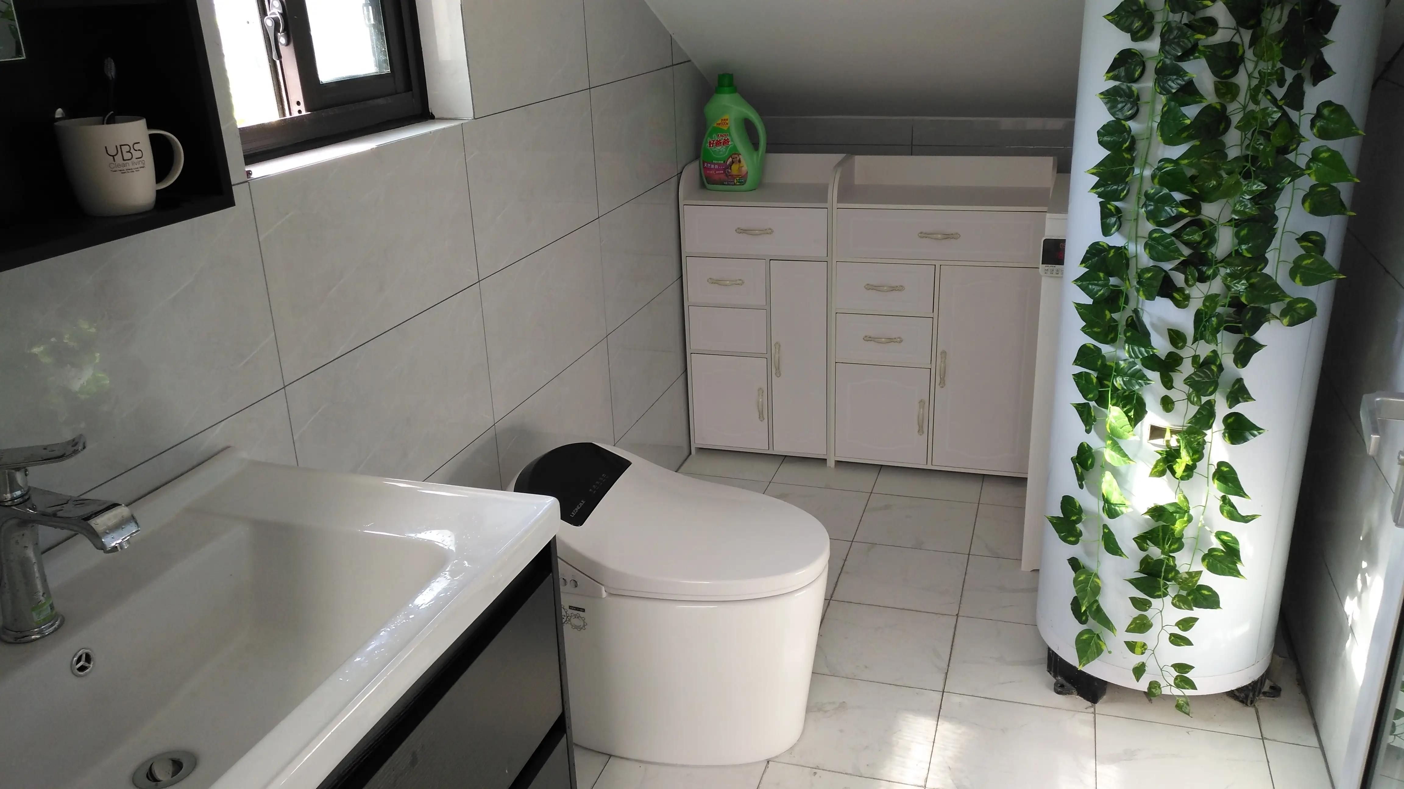 入住后自己挑一千多智能马桶推荐,智能马桶值得买吗