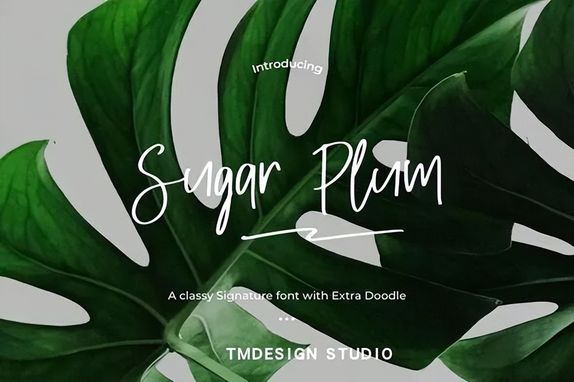 具有艺术感的英文字体推荐,6款极致优雅手写字体