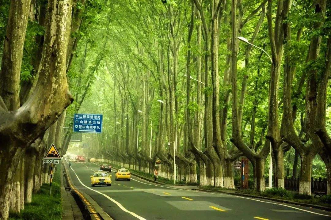 南京一定要去的山,南京值得去的山