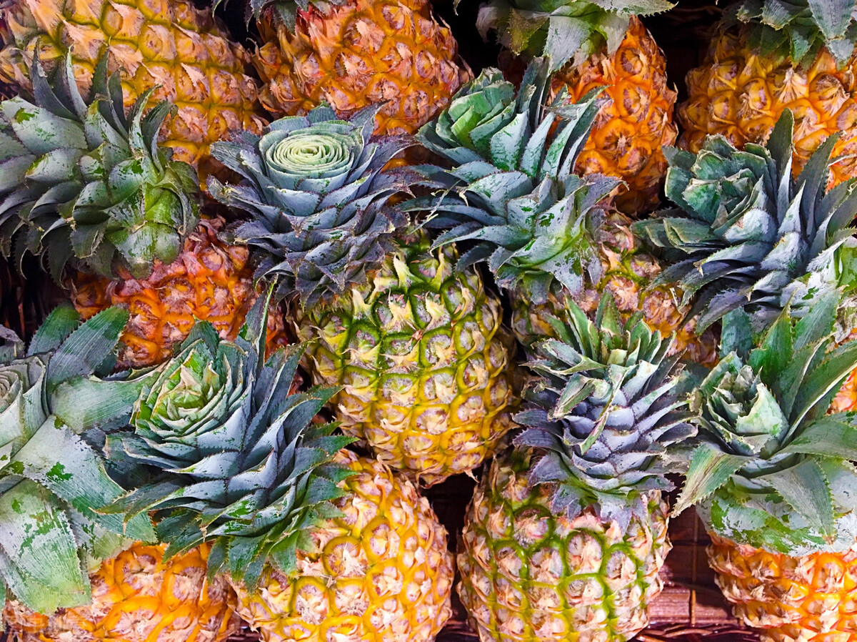 台湾最出名的水果有哪些,台湾水果有哪些台湾十大特产水果
