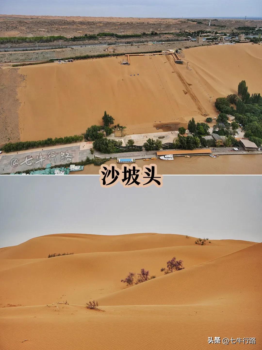 宁夏沙湖自由行攻略,宁夏沙坡头免费游