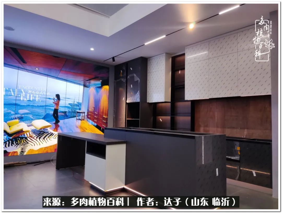 活在当下珍惜眼前平凡的生活,活在当下感慨万千