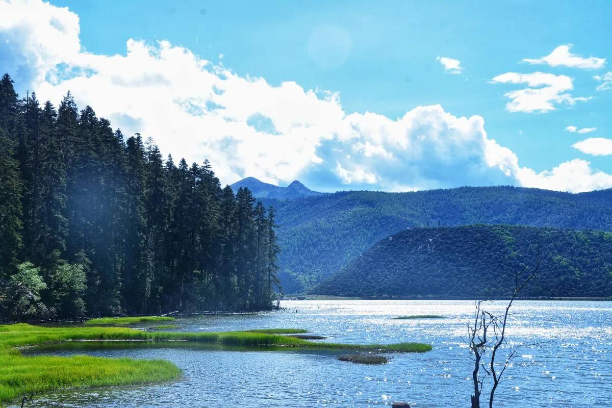 去云南旅游应避免哪些坑,去云南旅游防止被骗去缅甸