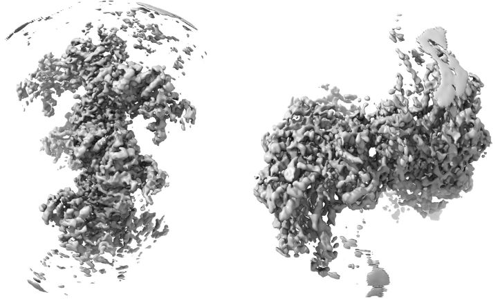 健身增肌的原理是什么,健身增肌原理动作讲解