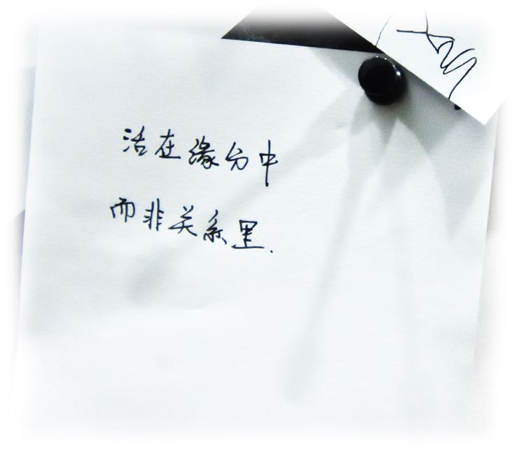 哇塞,这么多陌生人的心愿