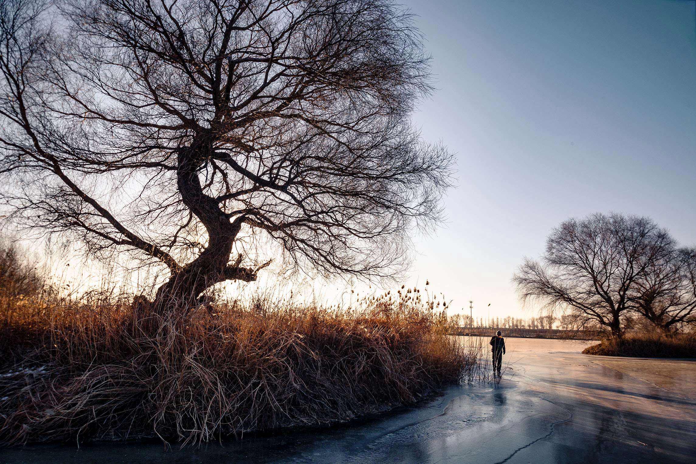 “冬至西北风，来年干一春”，明年收成怎么样？冬至这天有预示
