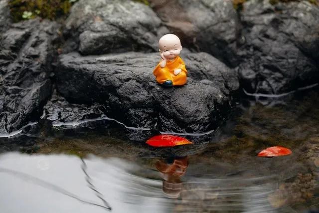 人生九悟你能悟出几个,人生八悟是什么