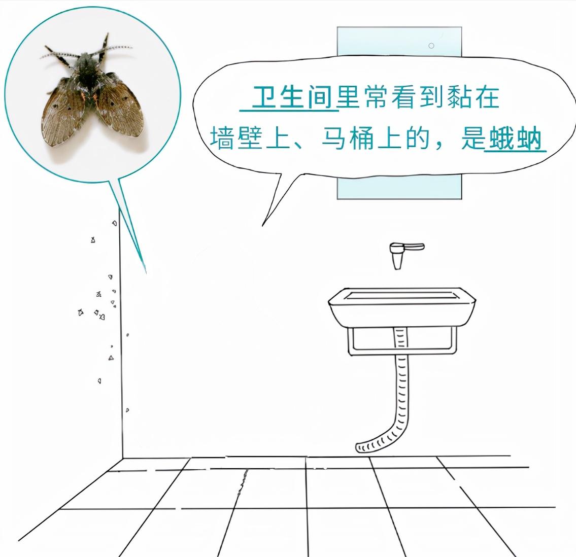 春天了家里好多虫子怎么办,春天来了家里有很多小虫怎么办