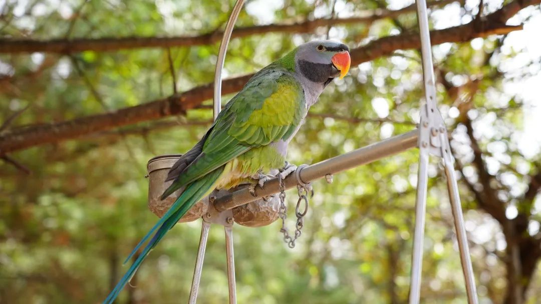 云南六一儿童节旅游攻略,云南适合小朋友旅游的地方