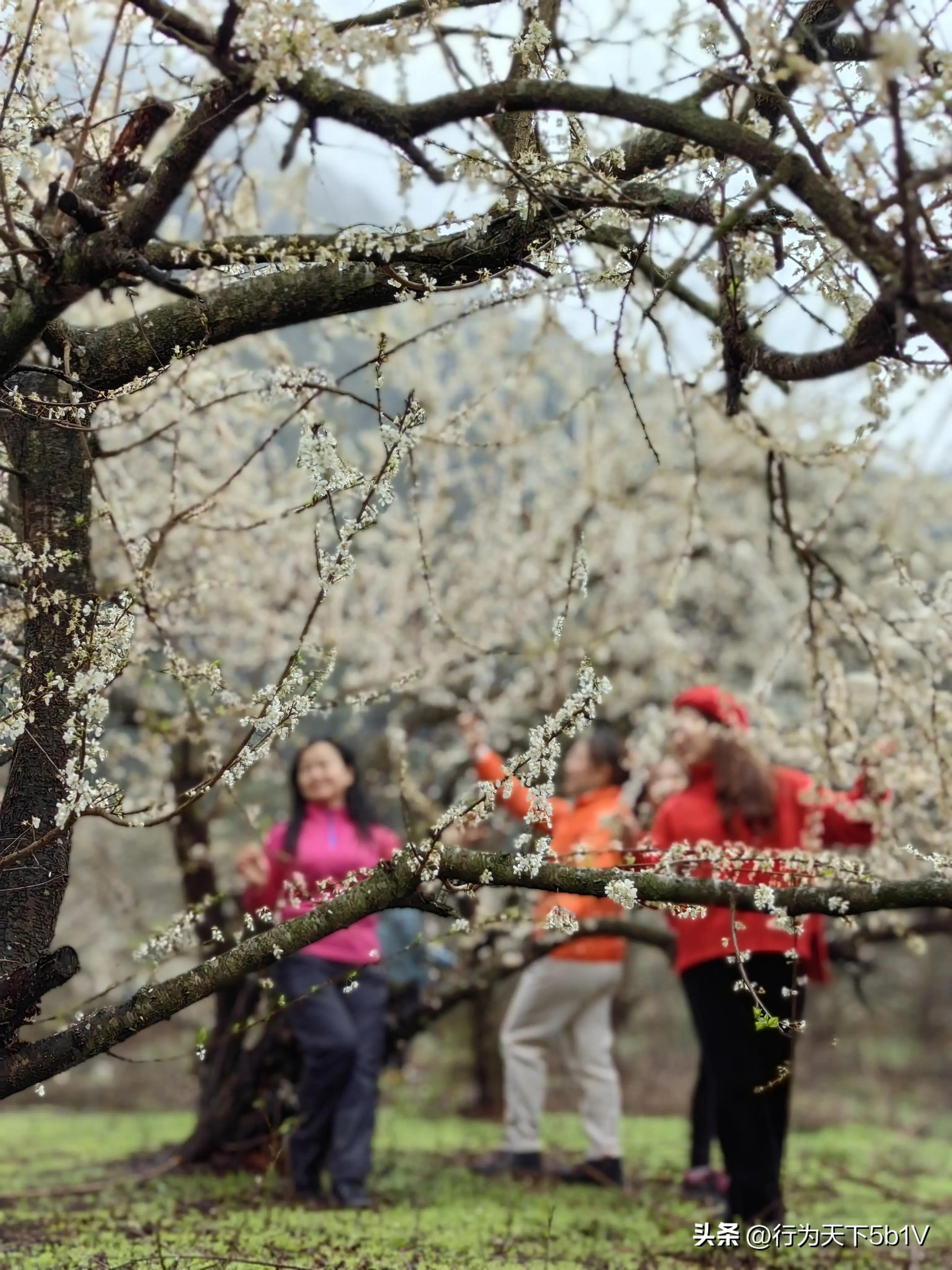 【平乐十里画廊鬼斧神工伟人石像】穿越唐*平宋**乐榕津千年古镇！