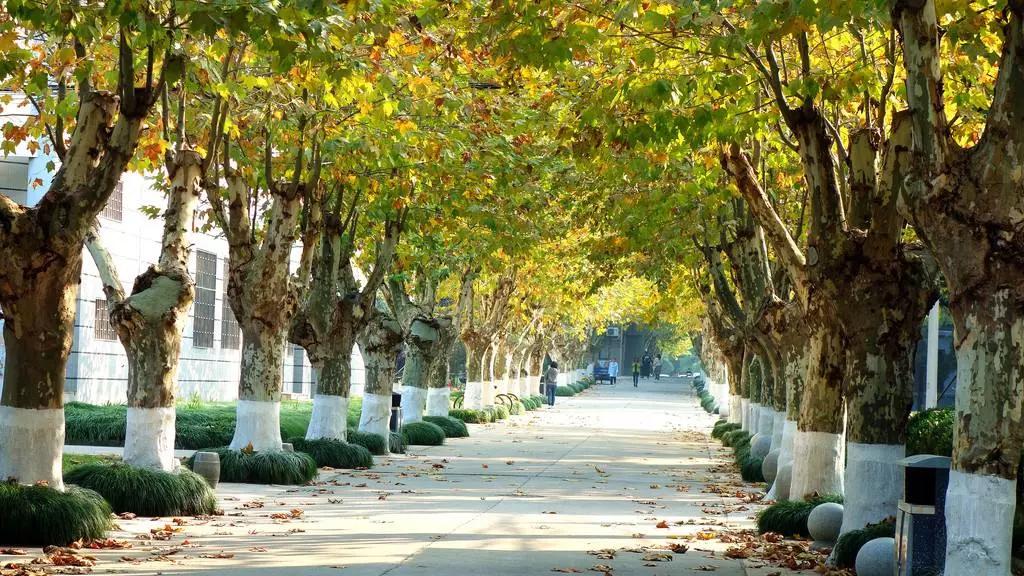 拾味扬州:扬大校园,精美雕塑