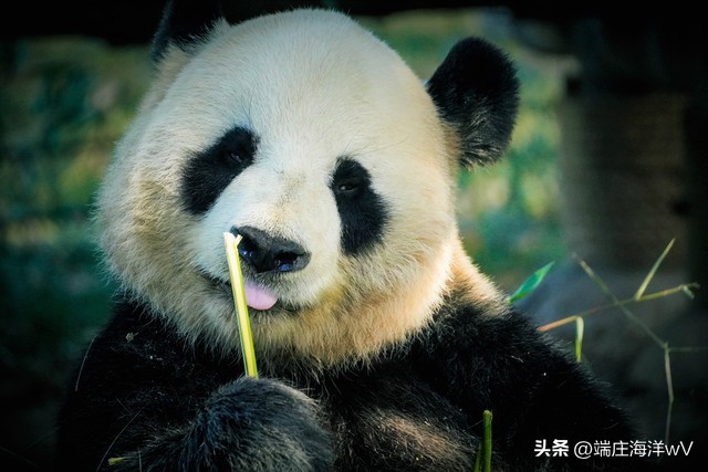 上海最值得去的打卡地,上海必去的打卡地合集