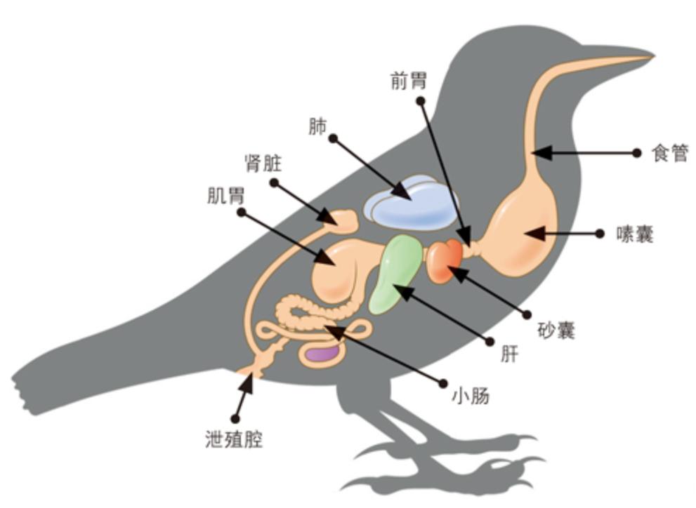 刚挖的水池时间久了，为何就会长出鱼?或与生命起源有直接关系