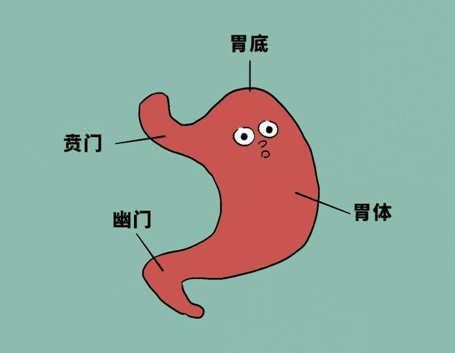 大便粘腻粘马桶次数多,放屁臭大便粘马桶用什么中成药