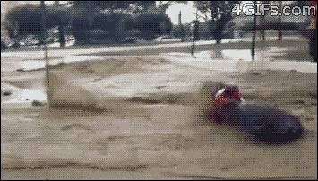 80张神奇偶然瞬间，环形闪电，海蛇和最毒石斑鱼互咬，骑骆驼拍照