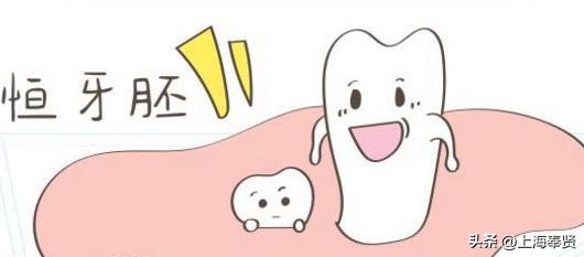 孩子换牙期的四个忠告,孩子换牙期须知的事