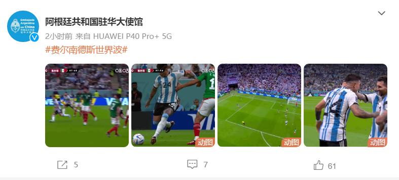 世界杯决赛阿根廷vs法国中国球迷,世界杯美洲区预选赛阿根廷巴西