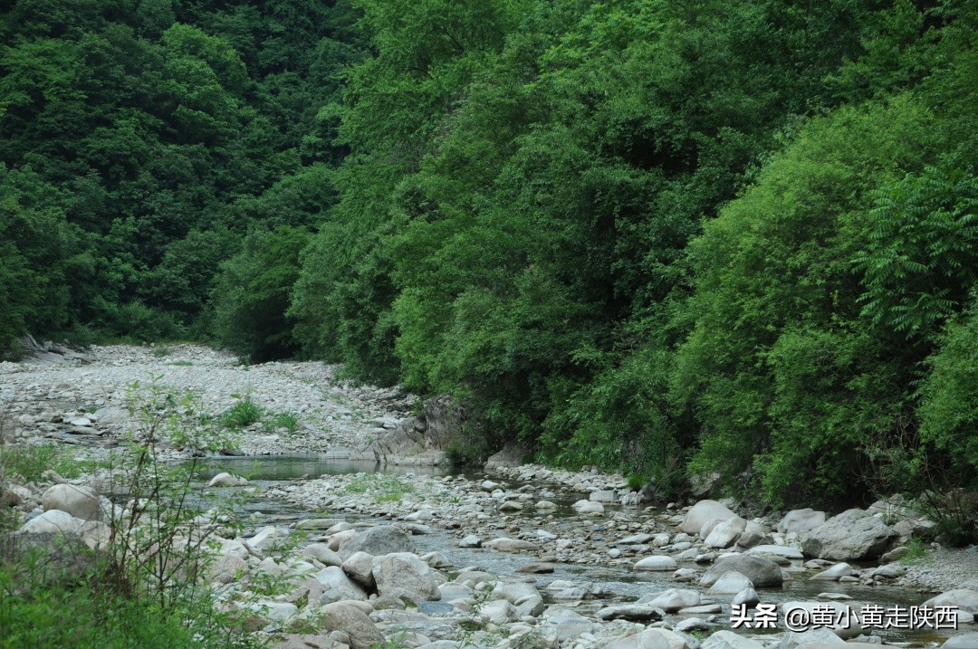 西安秦岭沣峪口夏季避暑去处,西安秦岭沣峪口附近哪里凉快