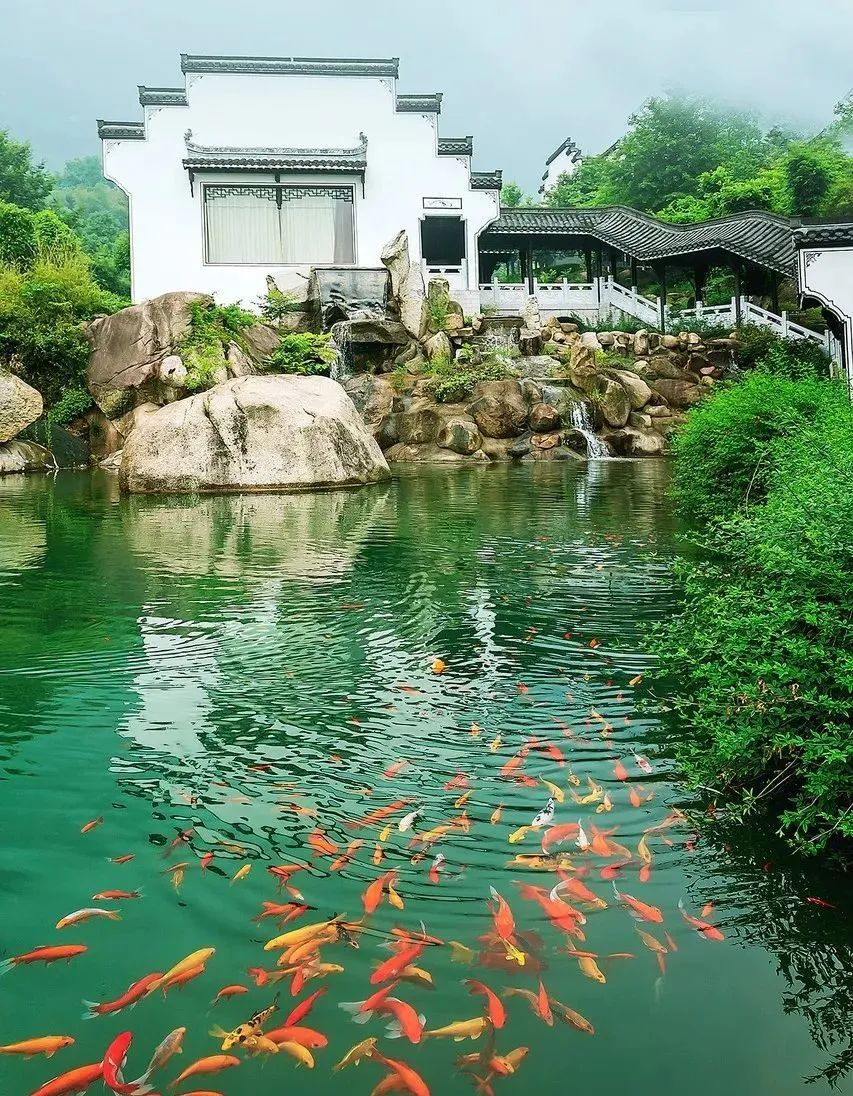 刚试了一下中华文字果然博大精深,涨知识了快来看看中国文字的魅力