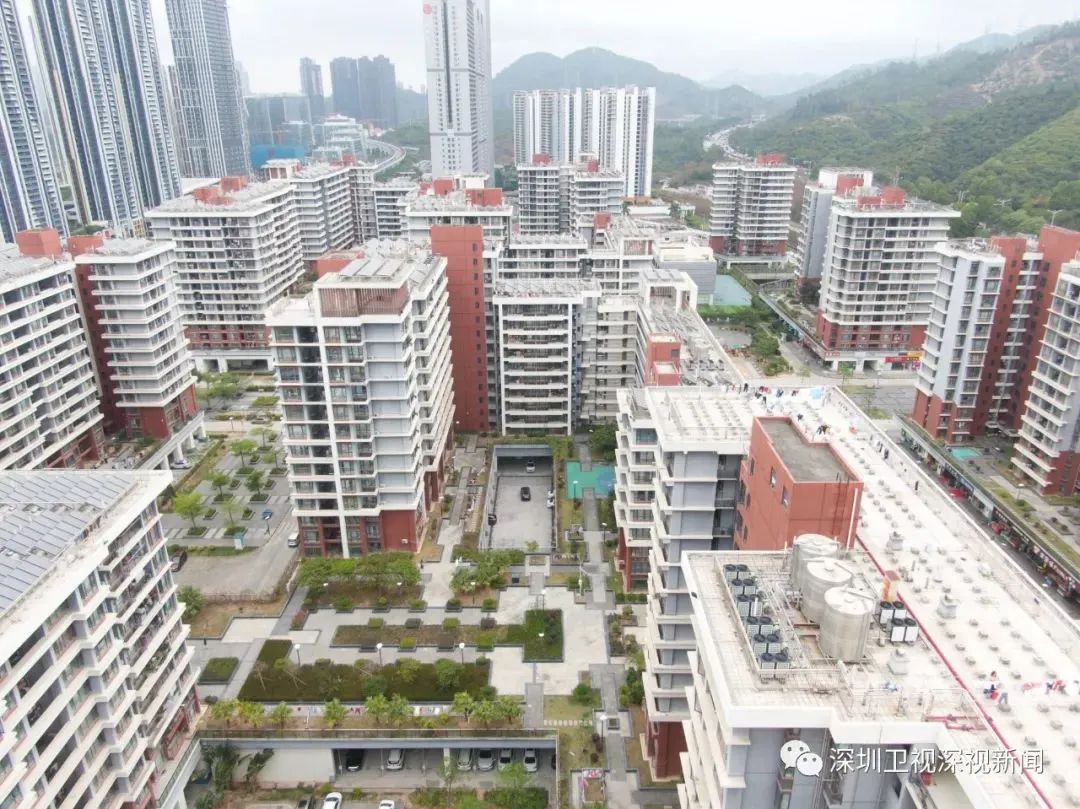 深圳市2024年度十项民生实事出炉,深圳2019民生微实事项目库