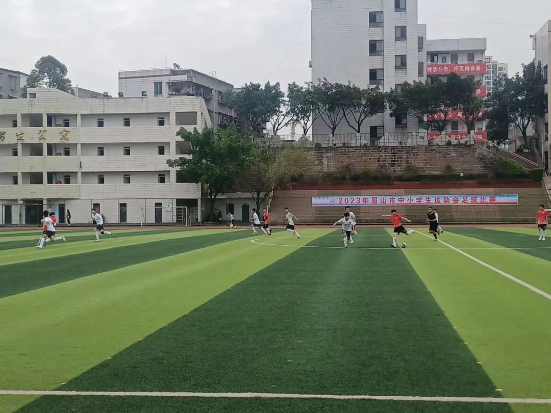 眉山中学足球联赛,洪雅学校足球联赛