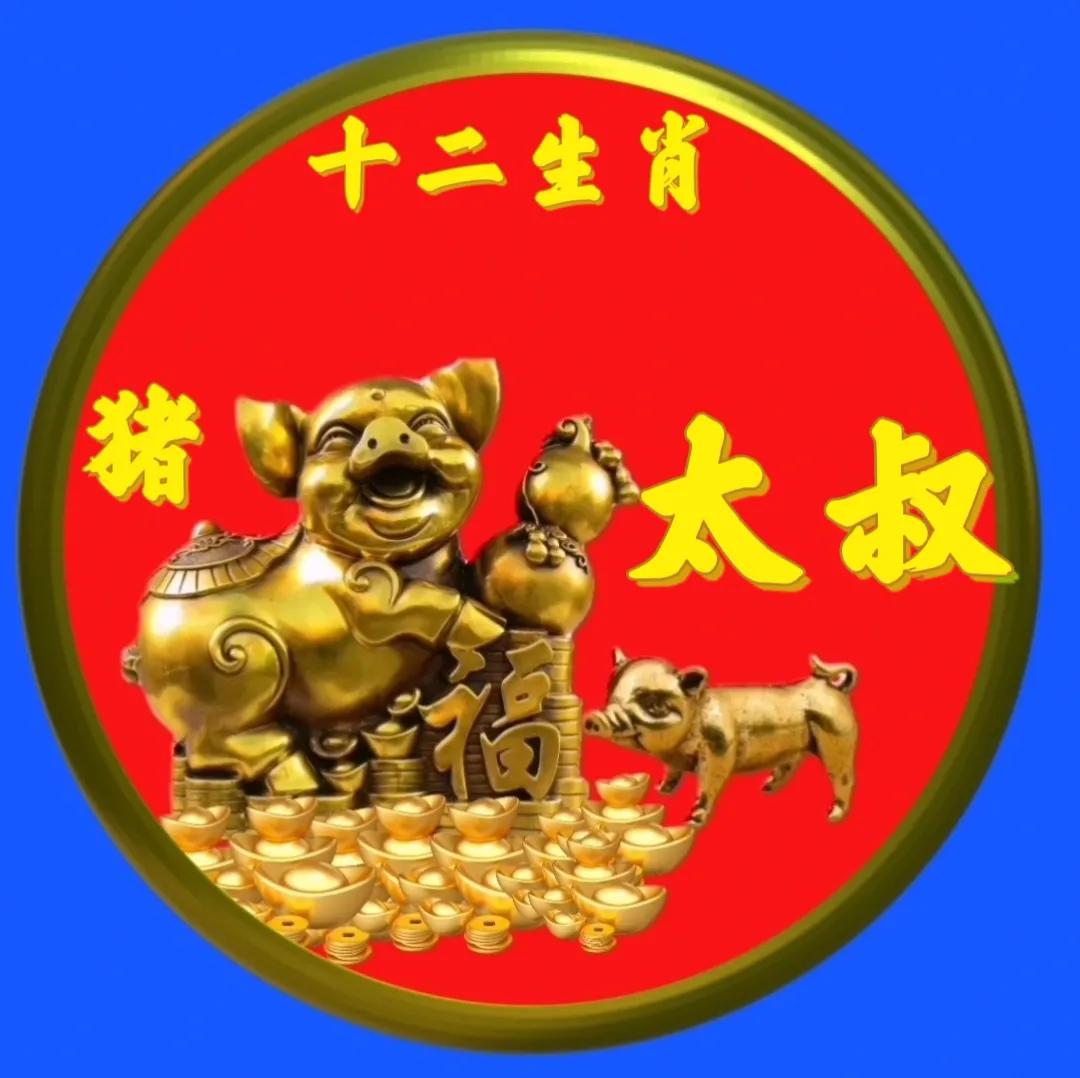 12生肖猪的姓氏头像,十二生肖猪姓氏头像壁纸