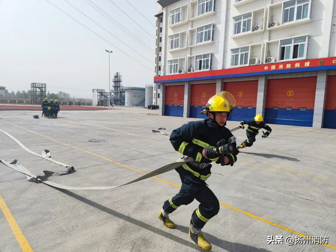 六一：“蓝焰幼崽”的六个变化