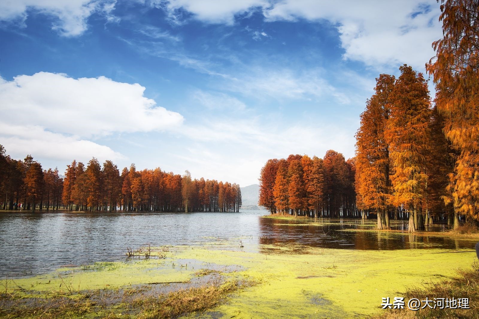 旅游攻略国内十大必去景点南方,中国南方著名景点