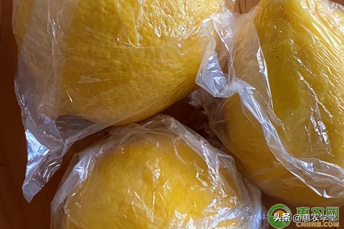 香水柠檬市场价格多少,柠檬市场价格走势